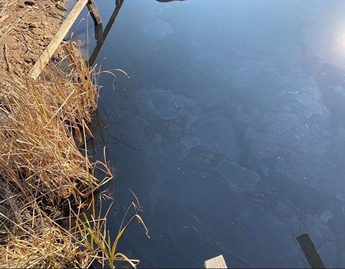 Riva'da korkutan görüntü! Şikayetler peş peşe geldi, ekipler harekete geçti - Resim: 2