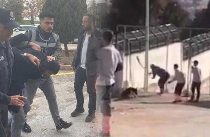 Konya'daki vahşet herkesi ayağa kaldırmıştı! Köpeklere kürekle vuran Murat Bacak ve Sefa Çakmak'ın cezaları belli oldu - Resim: 4
