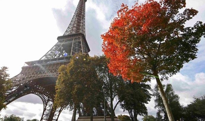 Paris'in kan donduran yanı! Eyfeli Kulesi'nde Meksikalı genç kadına 5 kişi tecavüz etti! - Resim: 5