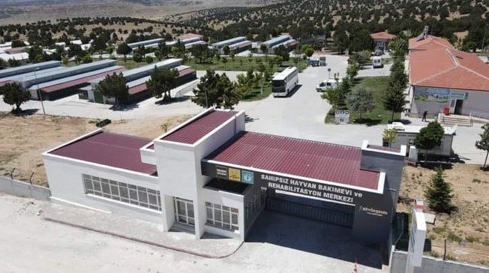 Konya'daki vahşet herkesi ayağa kaldırmıştı! Köpeklere kürekle vuran Murat Bacak ve Sefa Çakmak'ın cezaları belli oldu - Resim: 8