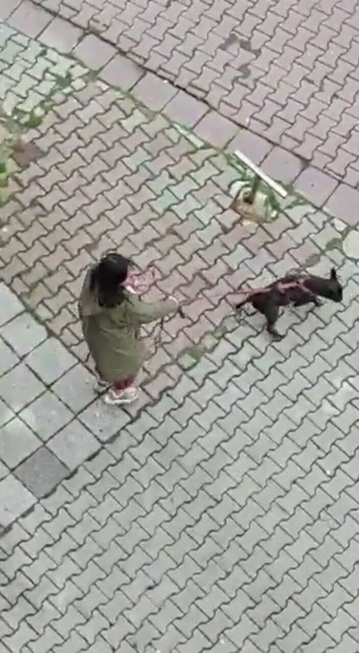 Kadıköy'de bir kadın Diyanet İşleri Başkanlığı'na bağlı Kur'an kursuna saldırdı - Resim : 3