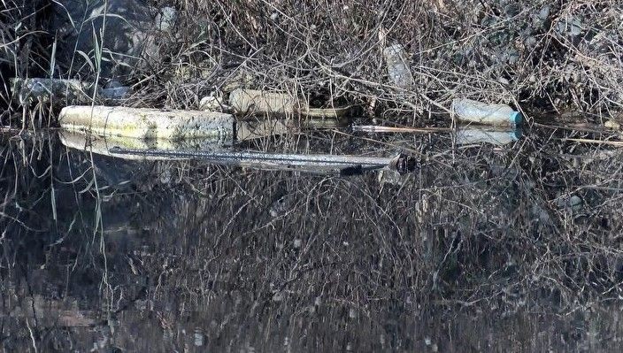 Riva'da korkutan görüntü! Şikayetler peş peşe geldi, ekipler harekete geçti - Resim: 7