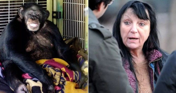 14 yıl baktığı maymun komşusunun yüzünü yedi! O anlarda kadının polisle telefon konuşması tüyler ürpertti - Resim: 6