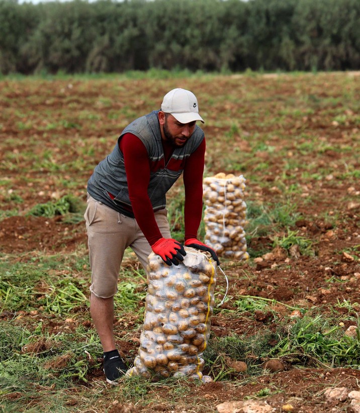 Adana'da günlük 250-300 ton patates yükleyen işçiler 2 bin 500 kazanıyorlara - Resim: 6