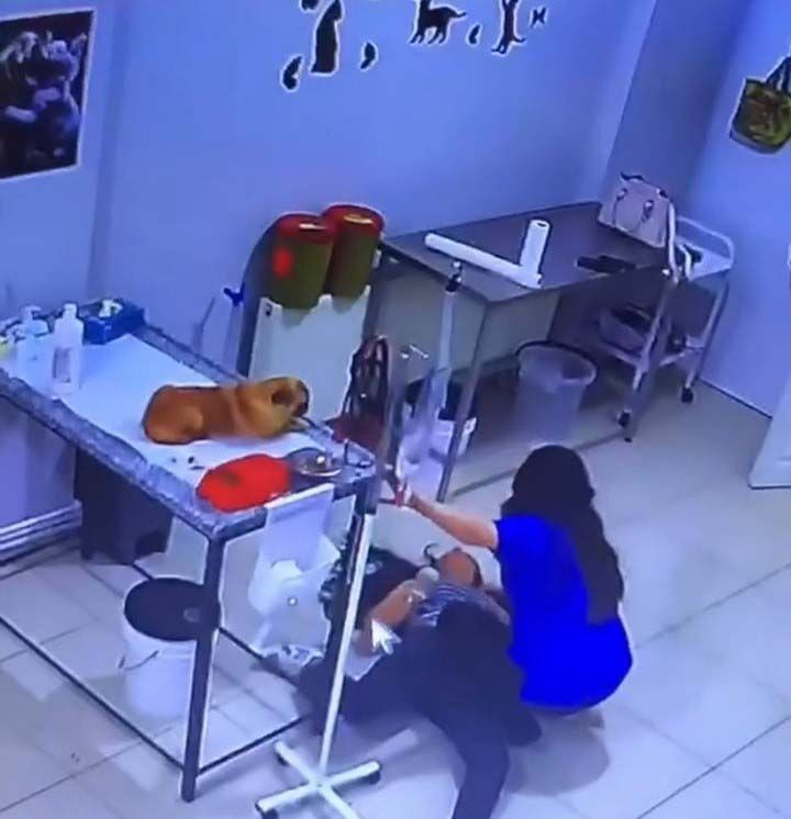 Bursa'da veteriner kliniğinde panik anları! Köpeğini tedavi ettirirken bayıldı - Resim: 1