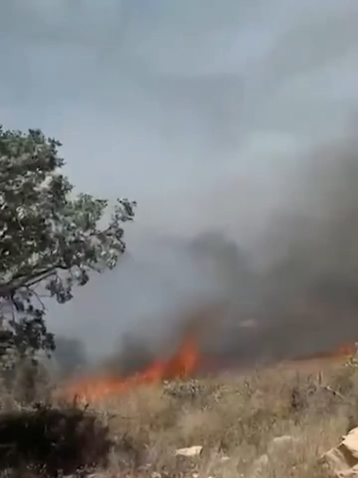 Şırnak Gabar Dağı’nda orman yangını - Resim : 3