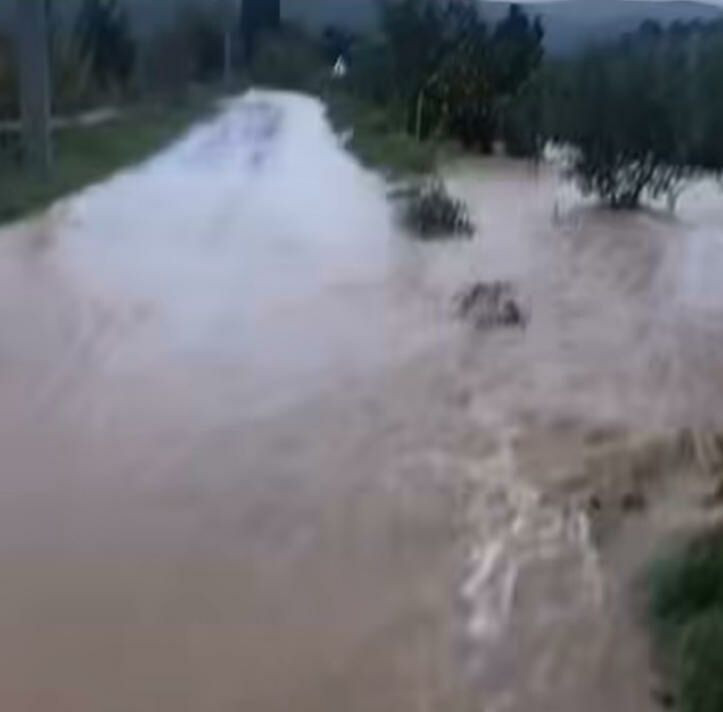 İzmir'de etkili olan sağanak hayatı felç etti: Dereler taştı, denizin rengi değişti, evleri su bastı - Resim: 13