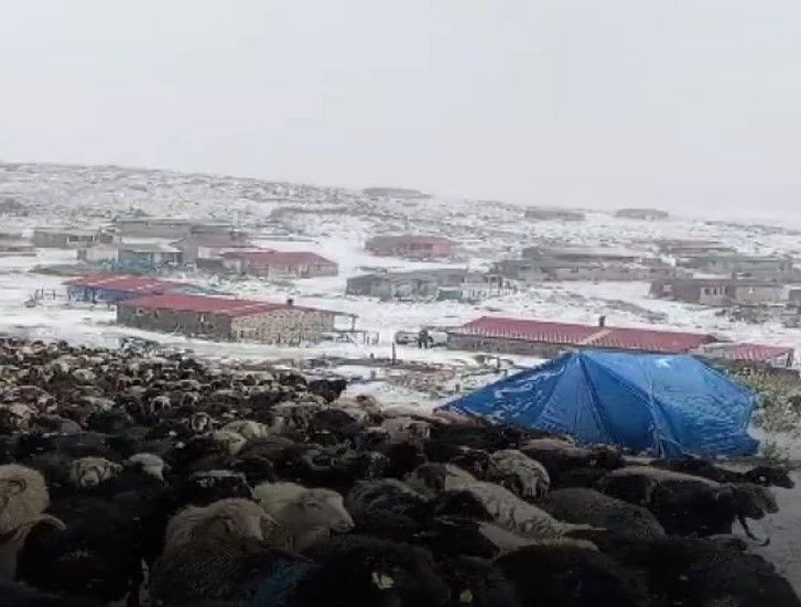 Mevsimin ilk karı düştü: Bir ilimizde eylülde her yer bembeyaz oldu - Resim: 2