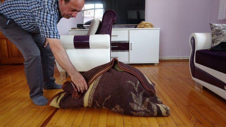 Mantar toplamaya gitti "Milyoner" oldu! Tesadüfen buldu - Resim: 1