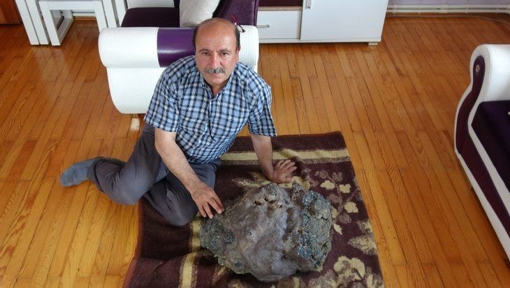 Mantar toplamaya gitti "Milyoner" oldu! Tesadüfen buldu - Resim: 3