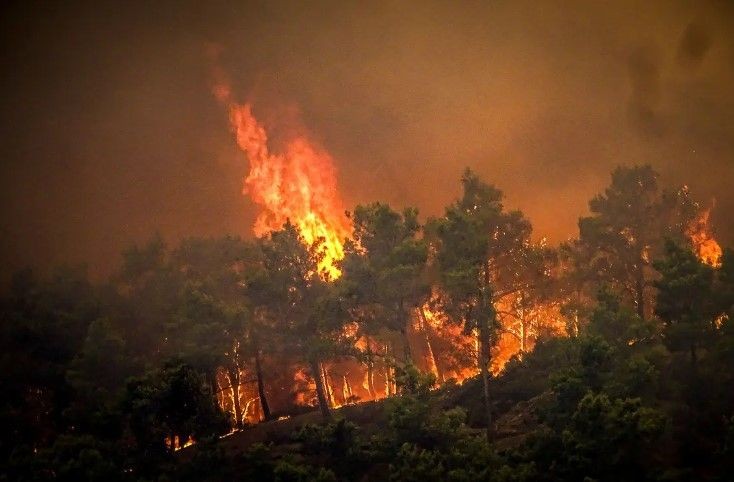 Rodos kül oldu! Orman yangını 7. gününde! 'Durum daha kötüleşebilir' - Resim: 51
