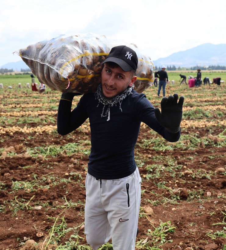 Adana'da günlük 250-300 ton patates yükleyen işçiler 2 bin 500 kazanıyorlara - Resim: 2