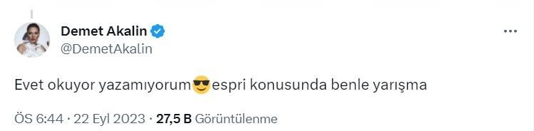 Her tweetini random atan Demet Akalın Elon Musk'ın iş ilanına talip oldu! Takipçileri bakın ne dedi - Resim: 9