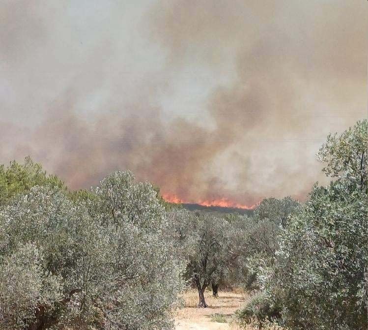 Yangınlar Çeşme'ye sıçradı: Otluk alanda çıkan yangına müdahale devam ediyor - Resim: 13