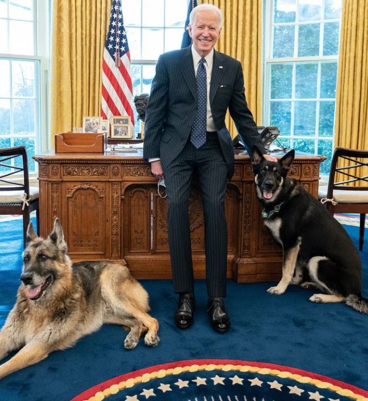 Beyaz Saray'da Biden'ın köpekleri krizi! - Resim: 1
