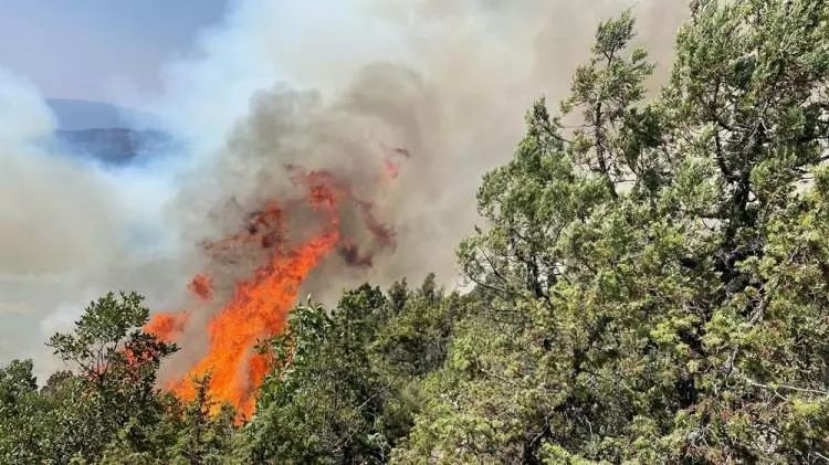 Bolu, Antalya, Denizli, Ankara ve Eskişehir’de orman yangını - Resim: 4