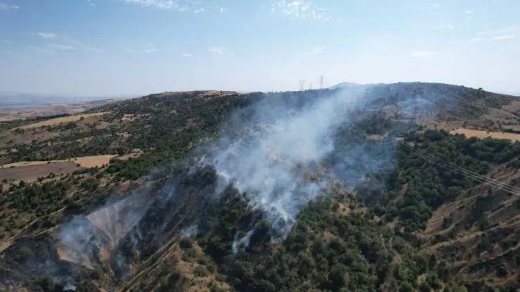 Bolu, Antalya, Denizli, Ankara ve Eskişehir’de orman yangını - Resim: 5