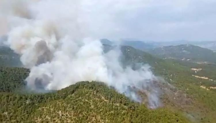 Bolu, Antalya, Denizli, Ankara ve Eskişehir’de orman yangını - Resim: 11