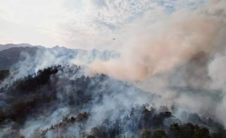 Bolu, Antalya, Denizli, Ankara ve Eskişehir’de orman yangını - Resim: 1