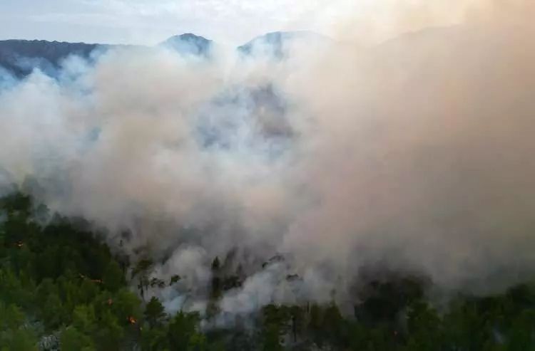 Bolu, Antalya, Denizli, Ankara ve Eskişehir’de orman yangını - Resim: 7