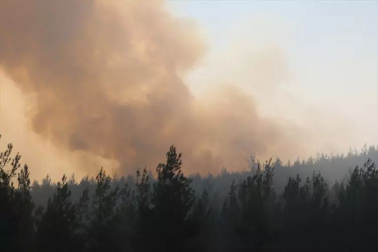 Bolu, Antalya, Denizli, Ankara ve Eskişehir’de orman yangını - Resim: 14