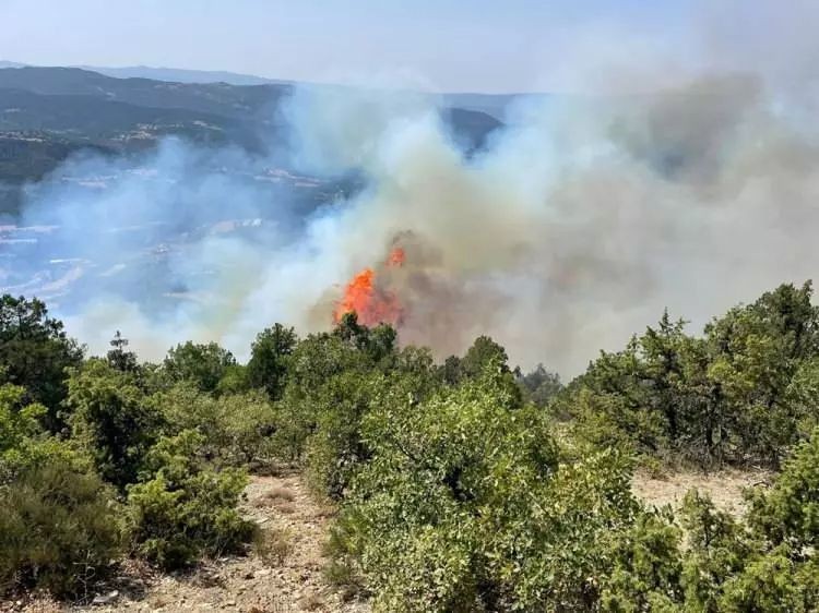 Bolu, Antalya, Denizli, Ankara ve Eskişehir’de orman yangını - Resim: 3