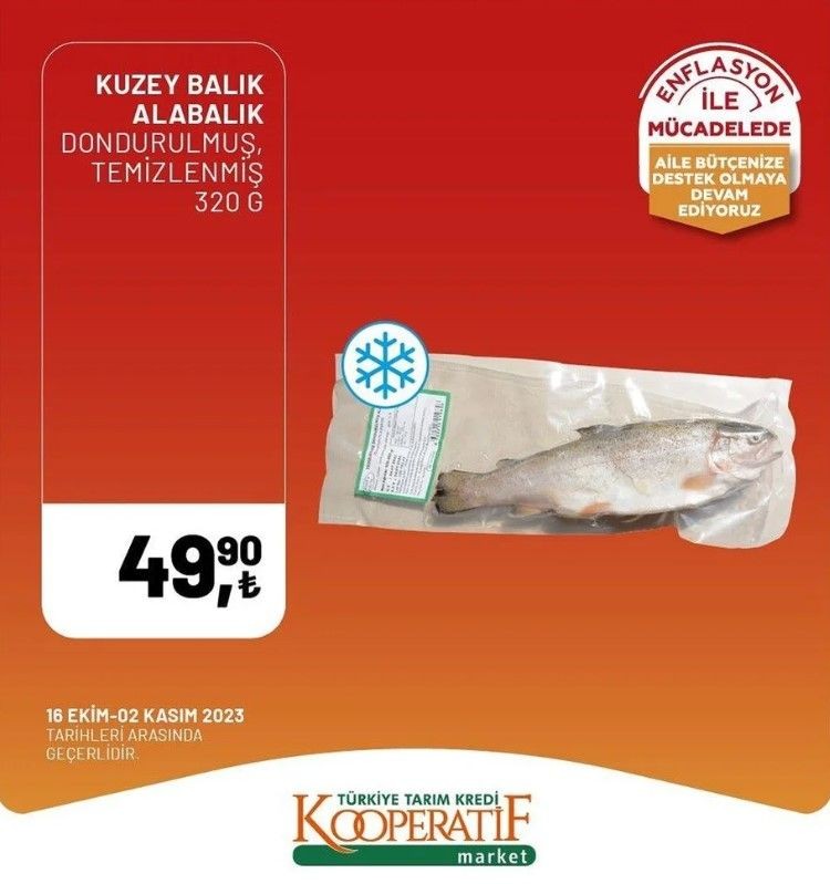 Yüzde 50 indirim bugün başladı! Tarım Kredi Kooperatif Market ekim ayına özel indirimli ürünler kataloğu yayınlandı! Et, süt, çay, hijyen malzemesi... - Resim: 16