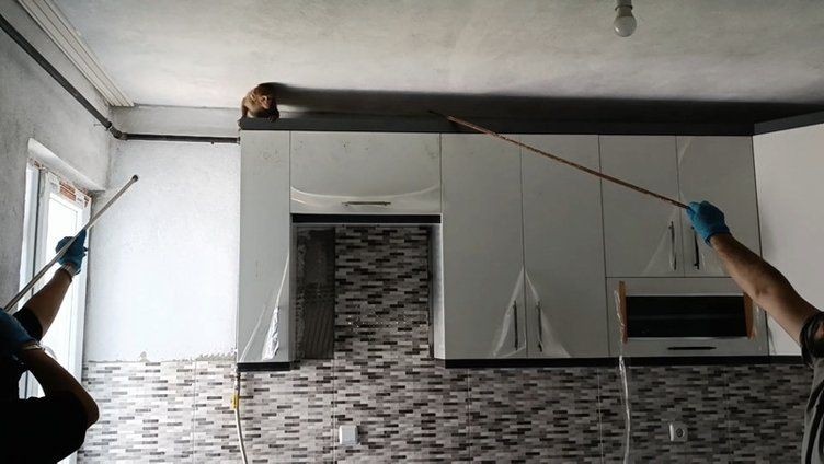 "Şakir" Bursa'yı karıştırdı! 5 gündür evlere giren makak maymunu yakalandı - Resim: 3