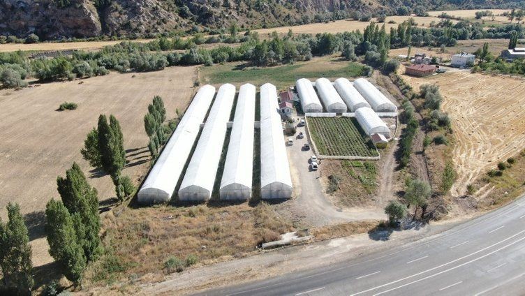 Şimdilerde paraya para demiyor! Antalya'da gördü bozkırda üretti - Resim: 9