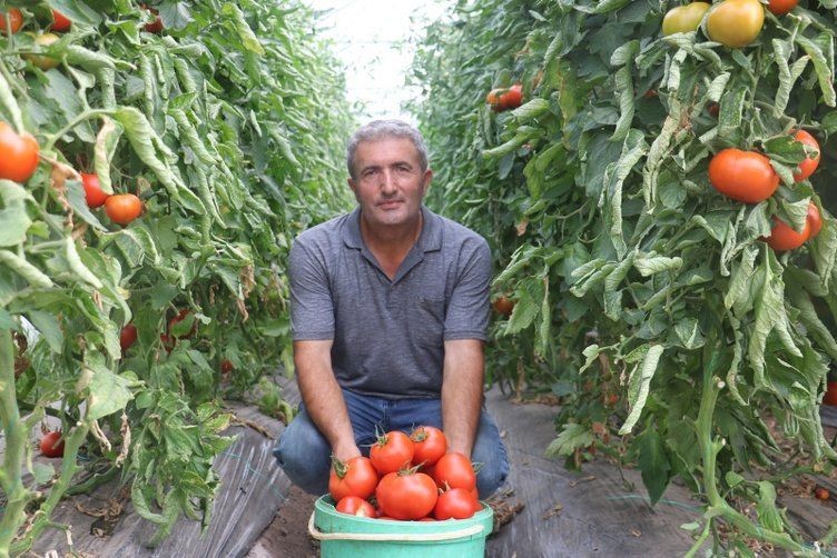 Şimdilerde paraya para demiyor! Antalya'da gördü bozkırda üretti - Resim: 2
