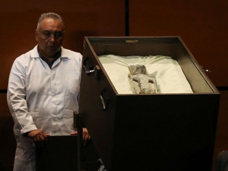 Meksika meclisinde sergilenen uzaylı fosillerine yalanlama geldi: DNA testi yapılmadı - Resim: 14