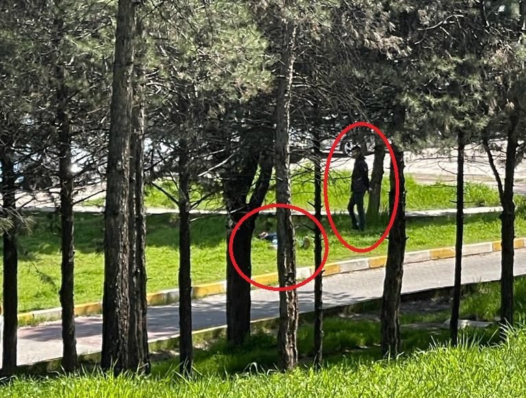 Diyarbakır'da korkunç olay! Öldürüp cesedinin başında bekledi - Resim : 1