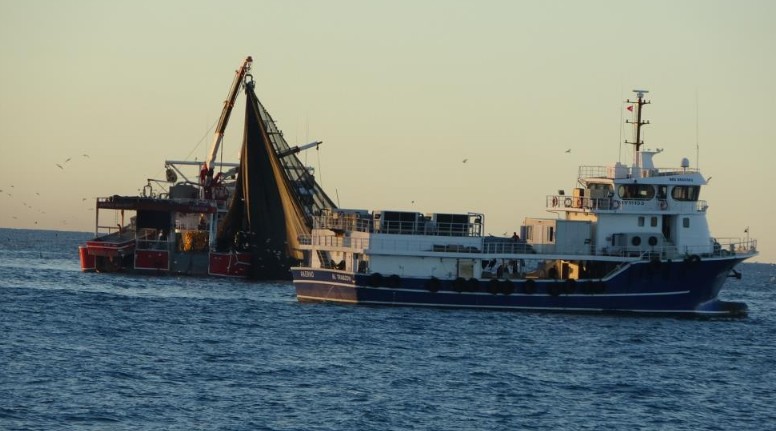 Gürcistan kara sularında hamsi bolluğu! Trabzon'dan Gürcistan'a balık avına gidecekler - Resim: 1