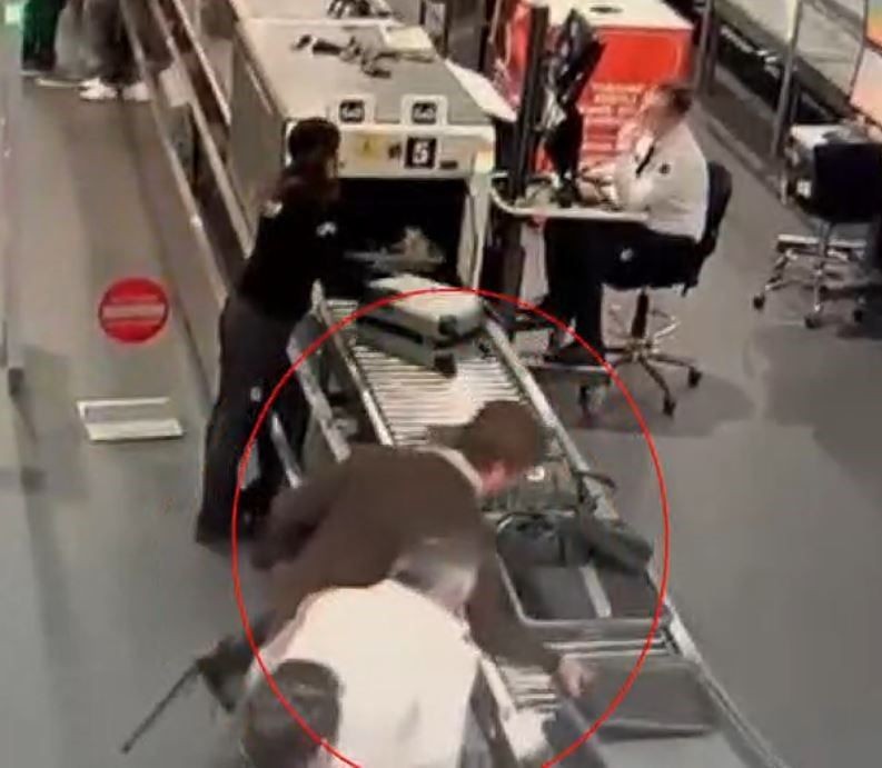 ABD'li müze müdürü tarantula ve akrep kaçakçılığı yaparken İstanbul Havalimanı'nda yakalandı - Resim: 12