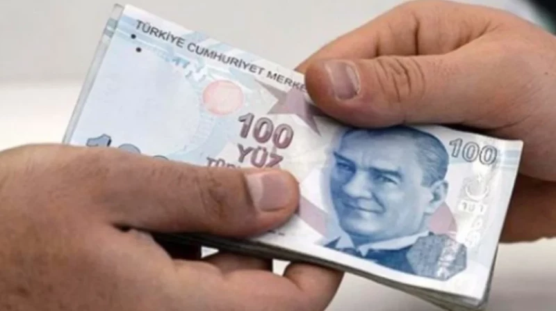 Dar gelirli ailelere vatandaşlık maaşı geliyor! Sistem nasıl işleyecek? - Resim: 9