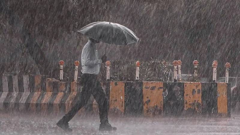 Meteoroloji'den dikkat çeken sarı kodlu uyarı: '12 il hazır olsun' - Resim : 2