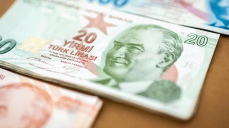Bugün tedavüle çıkıyor! Merkez Bankası duyurdu, yeni 20 TL'ler geliyor - Resim: 4