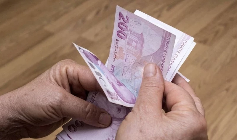 Dar gelirli ailelere vatandaşlık maaşı geliyor! Sistem nasıl işleyecek? - Resim: 6