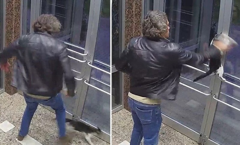 Kedi düşmanı cani ile ilgili yeni gelişme! Savcılıktan sevindiren karar - Resim : 2