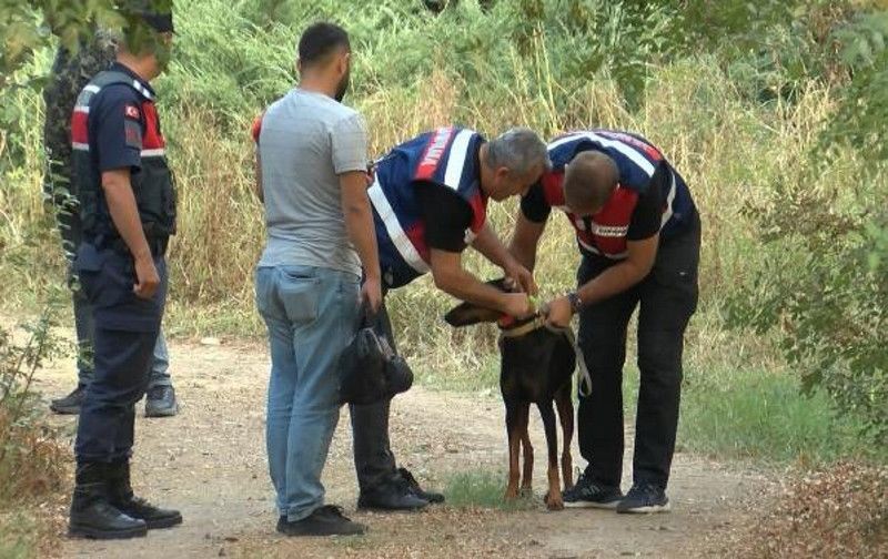 Korhan Berzeg'i arama çalışmaları durduruldu! 'Gizemli bir durum var' sözleri - Resim: 3