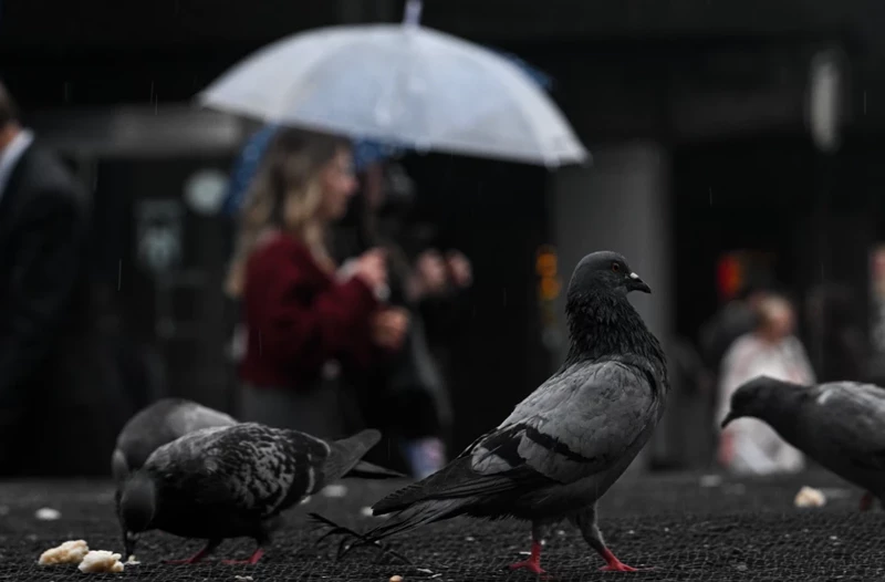 Meteoroloji'den İstanbul için kuvvetli yağış uyarısı: Su baskınlarına dikkat! - Resim: 8
