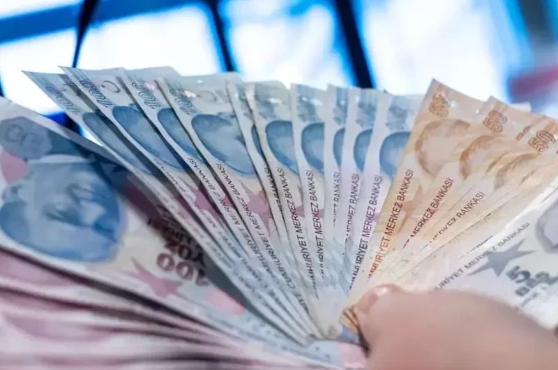 Dar gelirli ailelere vatandaşlık maaşı geliyor! Sistem nasıl işleyecek? - Resim: 7