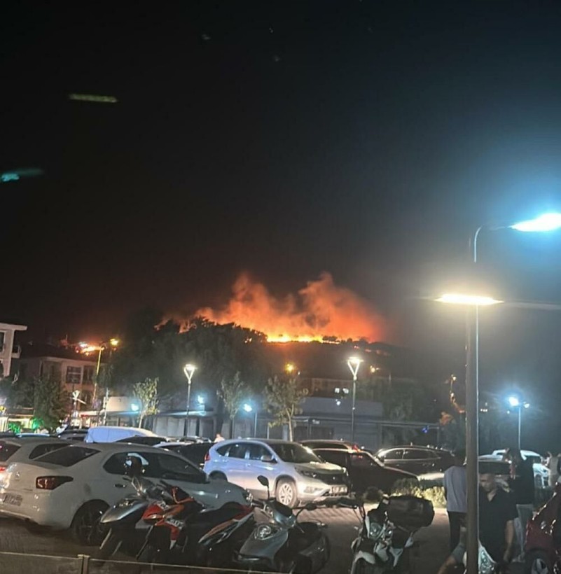 Ayvalık'taki yangın söndürüldü - Resim: 7