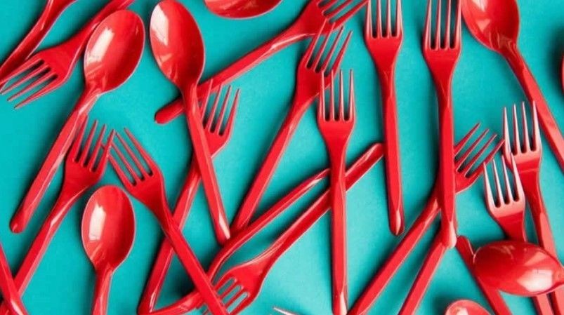 O ülkede radikal karar! Hükümet duyurdu! Tek kullanımlık çatal kaşık yasağı geliyor - Resim: 5