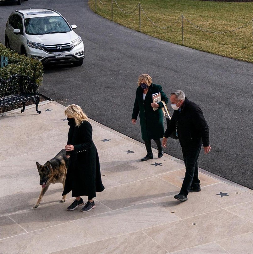 Beyaz Saray'da Biden'ın köpekleri krizi! - Resim: 9