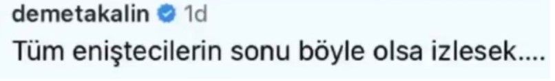 Demet Akalın'dan çorbacıda sahne aldığı iddia edilen Gülden Karaböcek'e 'enişteci' göndermesi! Karaböcek'in eniştesi kim? - Resim: 4