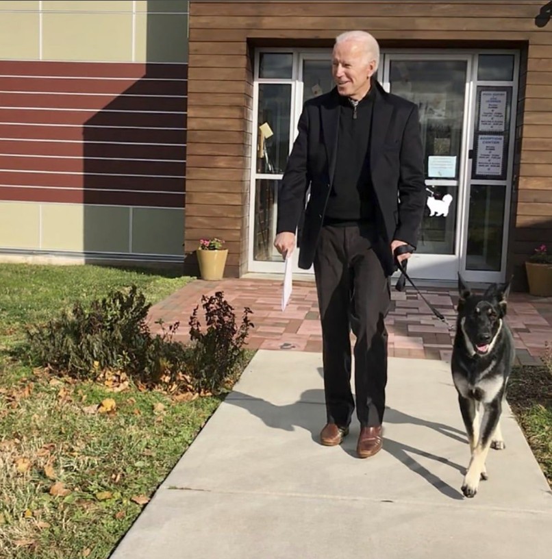 Beyaz Saray'da Biden'ın köpekleri krizi! - Resim: 8