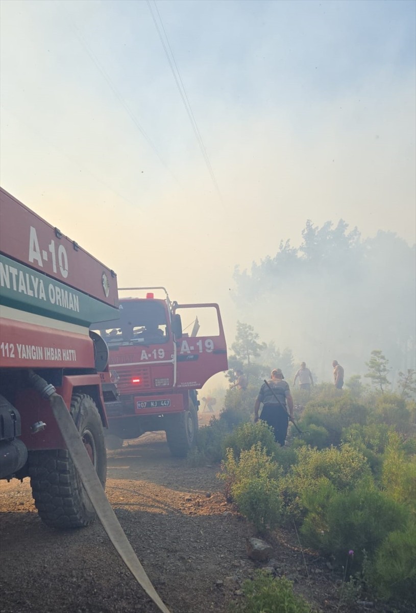 Alanya ve Aksu’da orman yangını: Alevler söndürüldü - Resim : 1