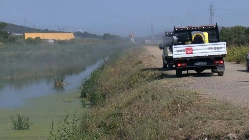 İstanbullular dikkat! Camları açarken bir kez daha düşünün! Sivrisinekler hastanelik etmeye başladı - Resim: 9