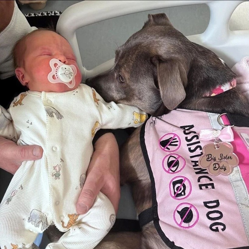 İngiltere'de bir köpek sahibi doğum yaptığı sırada ona eşlik etti - Resim: 6